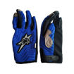 Imagen de Guantes Largos