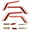 Imagen de Calcomania Completa Yamaha Dte Calibmatic Col